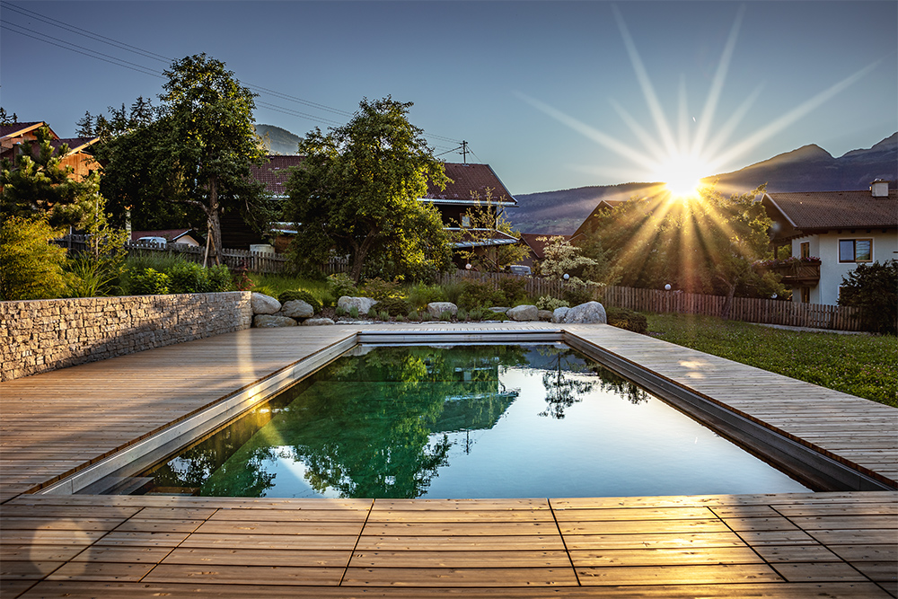 Pool 3Harmonie im Garten Naturpool Harmonie