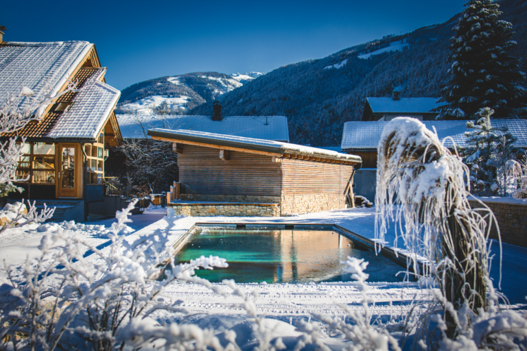 Naturpool 56so ensteht der Traum vom Garten